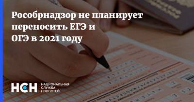 Анзор Музаев - Рособрнадзор не планирует переносить ЕГЭ и ОГЭ в 2021 году - nsn.fm
