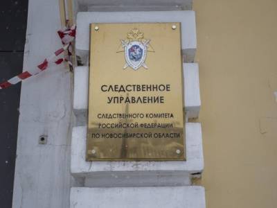 В Новосибирске будут судить злоумышленника, нападавшего на женщин в парке «Березовая роща» - runews24.ru - Новосибирск - Дзержинск