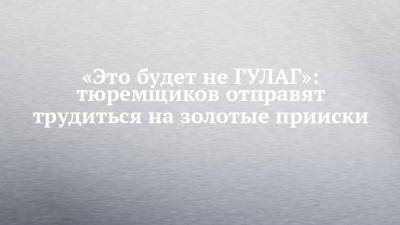 Александр Калашников - «Это будет не ГУЛАГ»: тюремщиков отправят трудиться на золотые прииски - chelny-izvest.ru