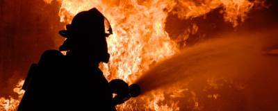 На пожаре в многоэтажке в Калининграде погиб 11-летний ребенок - runews24.ru - Калининград - Калининградская обл.