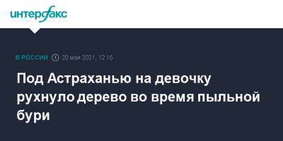 Под Астраханью на девочку рухнуло дерево во время пыльной бури - interfax.ru - Москва - Астрахань - Астраханская обл.