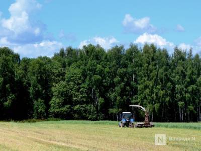 Запрет на посещение лесов вводится в Нижегородской области - vgoroden.ru - Нижегородская обл.