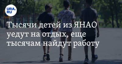 Тысячи детей из ЯНАО уедут на отдых, еще тысячам найдут работу - ura.news - окр. Янао