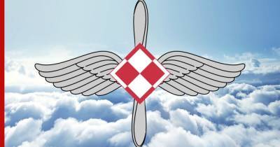 Причину подачи сигнала о захвате самолета ВВС Польши объяснило командование - profile.ru - Польша