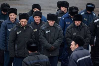 Владимир Путин - Директор ФСИН России предложил заменить трудовых мигрантов заключёнными - chita.ru - Узбекистан - Таджикистан