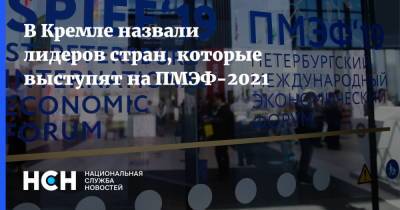 Владимир Путин - Дмитрий Песков - Себастьян Курц - Себастьян Курец - В Кремле назвали лидеров стран, которые выступят на ПМЭФ-2021 - nsn.fm - Австрия - Санкт-Петербург - Катар