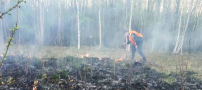 На севере Карелии до ночи тушили лесной пожар, вспыхнувший от замыкания высоковольтной линии - stolicaonego.ru - Беломорск - республика Карелия
