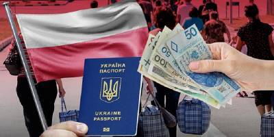 Владимир Зеленский - Украинцы, работающие в Польше, в среднем получают столько же, сколько и в украинских городах, утверждает Зеленский - ТЕЛЕГРАФ - telegraf.com.ua - Украина - Киев - Польша