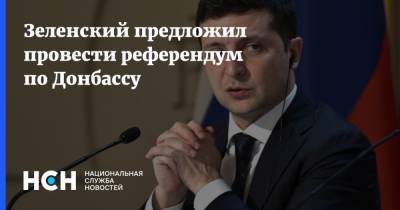 Владимир Зеленский - Зеленский предложил провести референдум по Донбассу - nsn.fm - Украина - Киев - Донбасс
