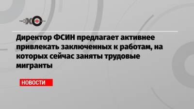Александр Калашников - Директор ФСИН предлагает активнее привлекать заключенных к работам, на которых сейчас заняты трудовые мигранты - echo.msk.ru - Красноярск - Магаданская обл.