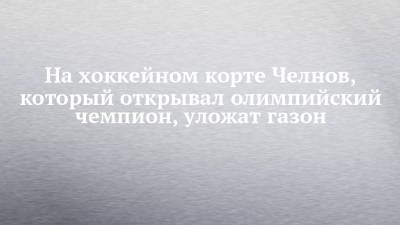 Дмитрий Соловьев - На хоккейном корте Челнов, который открывал олимпийский чемпион, уложат газон - chelny-izvest.ru - респ. Татарстан - Набережные Челны