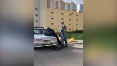 На видео попало задержание страйкболиста, который пытался пройти в школу с оружием - piter.tv - Санкт-Петербург