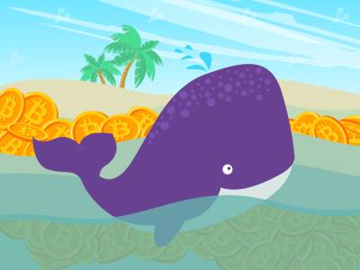 Мнение: киты воспользовались коррекцией для покупки биткоина - forklog.com