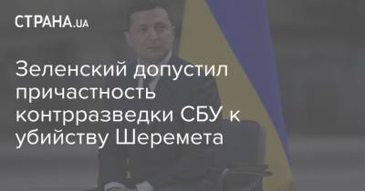 Владимир Зеленский - Петр Порошенко - Павел Шеремет - Яна Дугарь - Зеленский допустил причастность контрразведки СБУ к убийству Шеремета - strana.ua