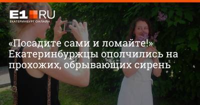 Артем Устюжанин - «Посадите сами и ломайте!» Екатеринбуржцы ополчились на прохожих, обрывающих сирень - e1.ru - Екатеринбург