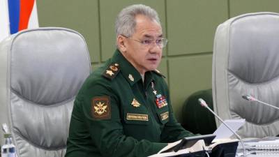 Сергей Шойгу - Владимир Путин - Шойгу назвал причины осложнении мемориальной работы Минобороны за рубежом - iz.ru