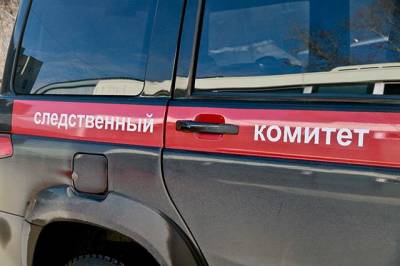 Житель Воронежа устроил стрельбу около школы - aif.ru - Воронеж
