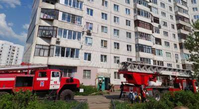 Была при смерти и задыхалась: в пожаре в Брагино спасатели откачали собаку - progorod76.ru - Ярославская обл. - Ярославль