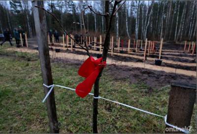 Ольга Амельченкова - Участники международной акции «Сад памяти» высадили уже 25 миллионов деревьев - online47.ru - Москва