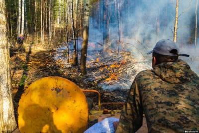 В Тюменской области остановили огонь половины лесных пожаров - nakanune.ru - Тюменская обл. - Свердловская обл. - Тобольск