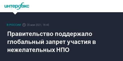 Василий Пискарев - Правительство поддержало глобальный запрет участия в нежелательных НПО - interfax.ru - Москва