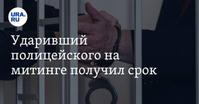 Ударивший полицейского на митинге получил срок - ura.news - Москва - респ. Калмыкия