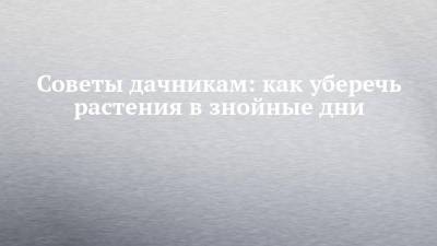 Советы дачникам: как уберечь растения в знойные дни - chelny-izvest.ru