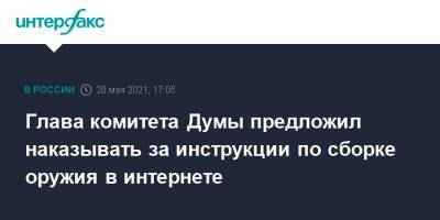 Василий Пискарев - Пискарев предложил наказывать за публикацию инструкций по сборке любого оружия - interfax.ru - Москва