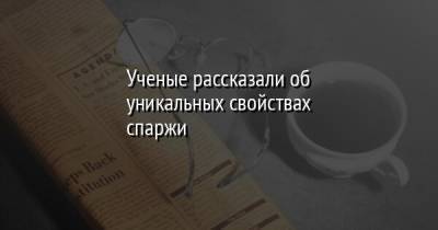 Ученые рассказали об уникальных свойствах спаржи - facenews.ua