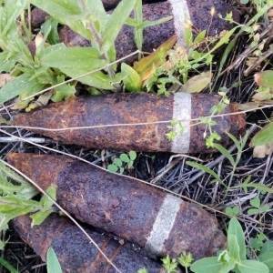 В поле возле запорожского села нашли 35 боеприпасов. Фото - reporter-ua.com - Запорожская обл. - Запорожье