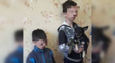 Пропавшие в Новочебоксарске братья подняли на уши всю местную полицию: боялись возвращаться домой - pg21.ru - Новочебоксарск