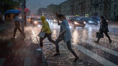 В Петербурге с приходом грозы снова закрыли парки и скверы - dp.ru - Санкт-Петербург - р-н. Московский