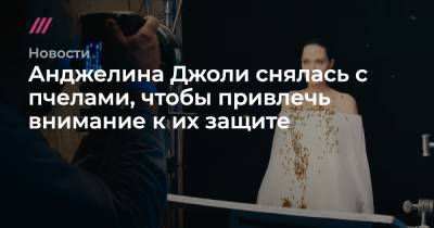 Анджелина Джоли - Анджелина Джоли снялась с пчелами, чтобы привлечь внимание к их защите - tvrain.ru