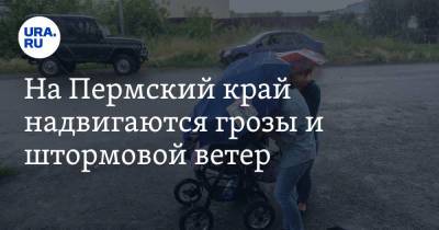 На Пермский край надвигаются грозы и штормовой ветер - ura.news - Пермский край