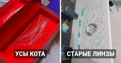 Порой люди коллекционируют очень странные вещи - skuke.net - Интересно