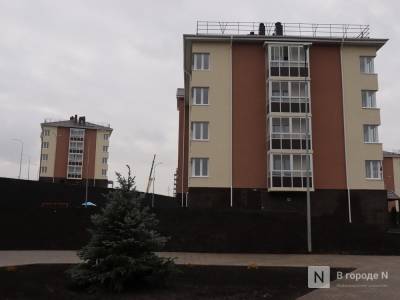 Дольщики проблемного ЖК «Новинки Smart City» вновь провели одиночный пикет в Нижнем Новгороде - vgoroden.ru - Нижний Новгород - Строительство
