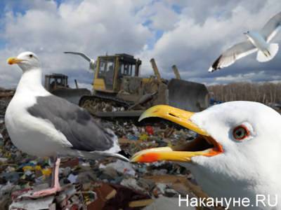 Свердловская область намеревается продлить сроки по ликвидации мусорных полигонов - nakanune.ru - Свердловская обл.
