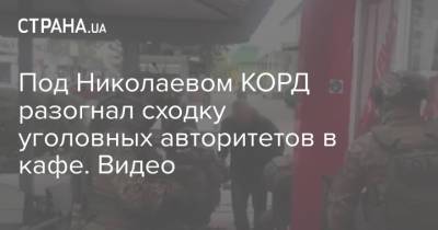 Под Николаевом КОРД разогнал сходку уголовных авторитетов в кафе. Видео - strana.ua - Николаев - Николаевская обл. - Вознесенск