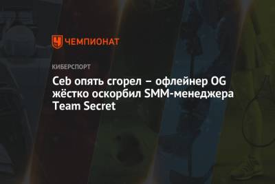 Ceb опять сгорел – офлейнер OG жёстко оскорбил SMM-менеджера Team Secret - championat.com