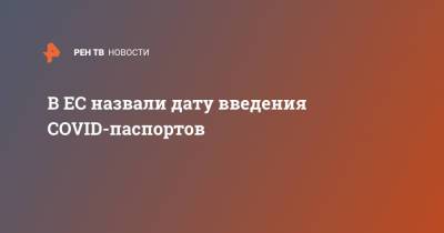 В ЕС назвали дату введения COVID-паспортов - ren.tv