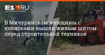 В Мичуринском женщины с колясками вышли живым щитом перед строительной техникой - e1.ru - Екатеринбург - Мичуринск