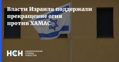 Власти Израиля поддержали прекращение огня против ХАМАС - nsn.fm - Израиль - Палестина - Иерусалим - Ливан