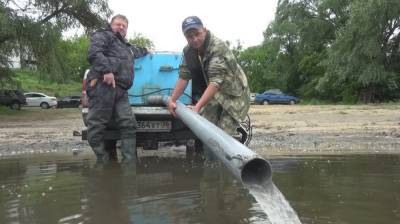 В реку Дон в Воронежской области выпустят три тонны мальков краснокнижной стерляди - vestivrn.ru - Воронежская обл.