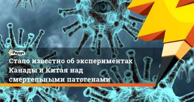 Стало известно об экспериментах Канады и Китая над смертельными патогенами - ridus.ru - Канада