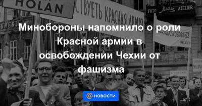 Минобороны напомнило о роли Красной армии в освобождении Чехии от фашизма - news.mail.ru - Чсср