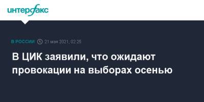Элла Памфилова - В ЦИК заявили, что ожидают провокации на выборах осенью - interfax.ru - Москва