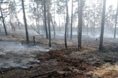 В Бурятии на месте пожара нашли кружку и кострище - ulan.mk.ru - респ.Бурятия