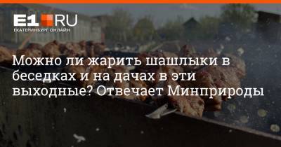 Можно ли жарить шашлыки в беседках и на дачах в эти выходные? Отвечает Минприроды - e1.ru - Екатеринбург - Экология