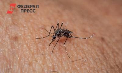 Вадим Марьинский - Биолог раскрыл секрет, как комары выбирают своих жертв - fedpress.ru - Москва - Экология