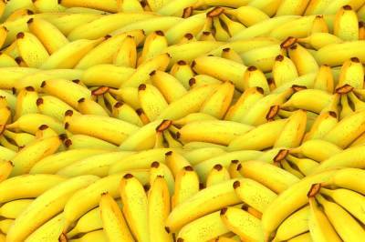 Полиция Эквадора обнаружила партию бананов с кокаином в грузе для России - news.vse42.ru - Россия - Бельгия - Эквадор